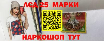 спиды Дубна