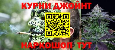 спиды Дубна